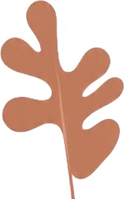 a brown leaf shaped object on a white background.jpg